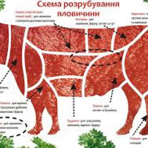 Аби потрапити на ринок Євросоюзу українській яловичині потрібні 20 мільйонів гривень