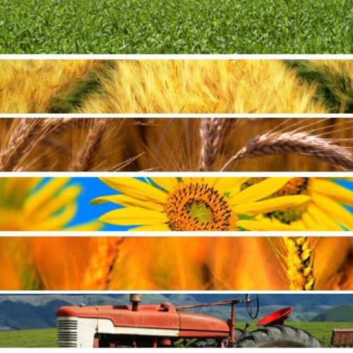 La BERS sostiene l'agricoltura ucraina