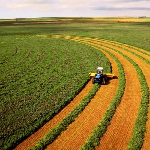 LA BEI investirà 400 milioni di euro nell'industria agricola ucraina