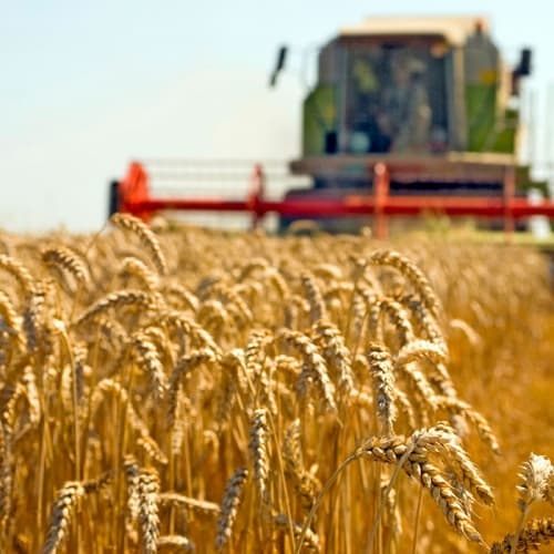 Ucraina: aumentano le importazioni di macchine agricole dall'Italia