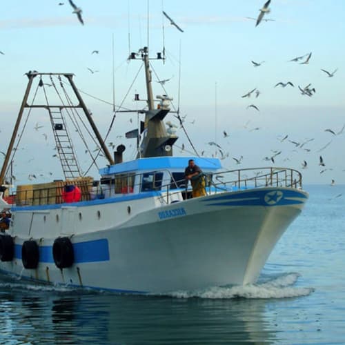 Finanziamenti europei per l’industria ittica ucraina