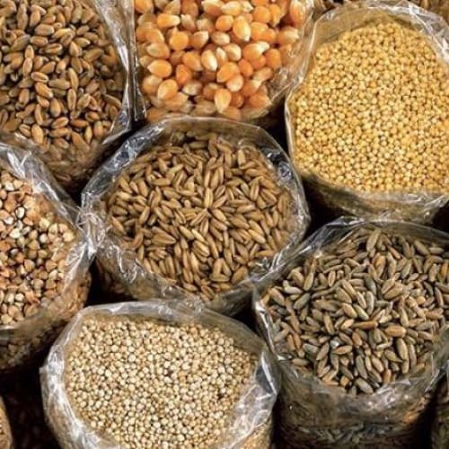 Cereali: esportazioni da record nella nuova campagna di commercializzazione