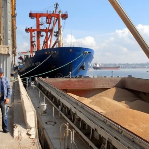 L'Ucraina ha esportato oltre 31 milioni di tonnellate di grano nei precedenti 6 mesi