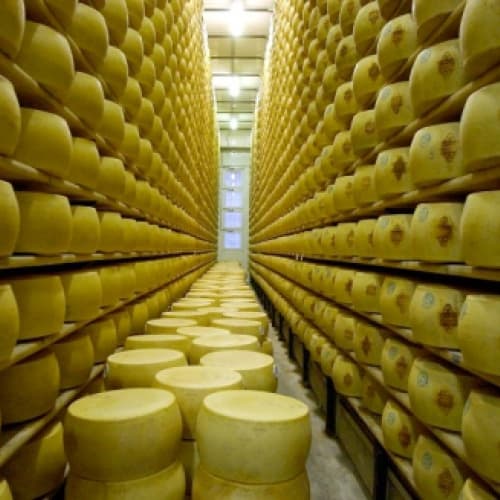 Зростає експорт італійського сиру Grana Padanо
