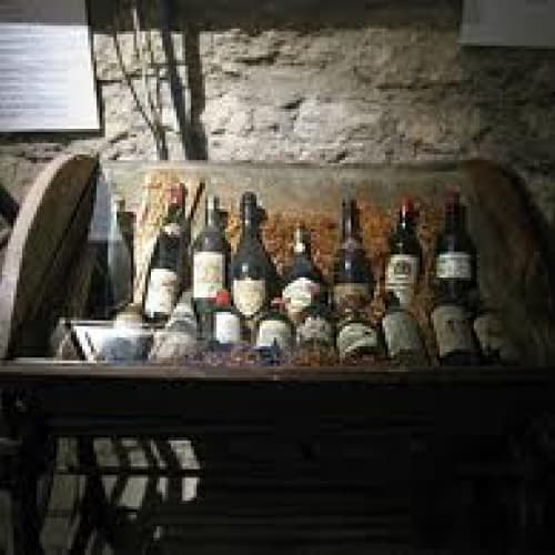 Інвесторам: в Італії готуються відновити виробництво вина за стародавніми римськими технологіями