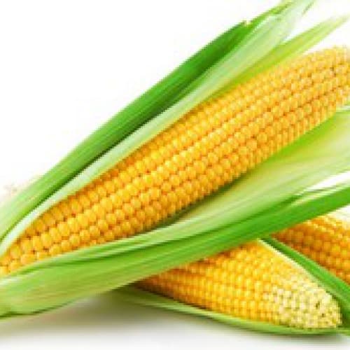 Італія нарощує імпорт кукурудзи