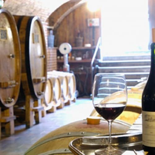 Італія стала найбільшим в світі виробником вина