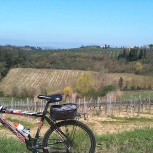 Винно-велосипедний тур пройде в Тоскані