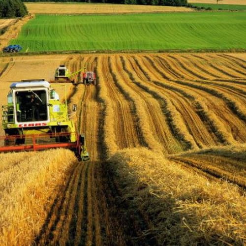 Українські аграрії використали квоти експорту в Євросоюз на чотири роки вперед