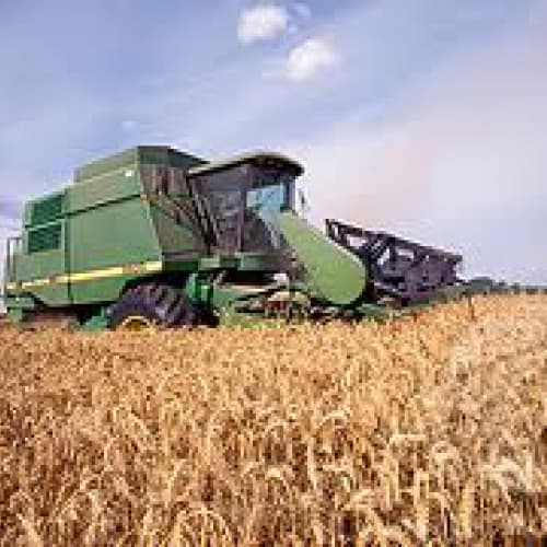 Україна збере 60 млн тонн зерна й експортує 37 млн тонн – Мінагрополітики