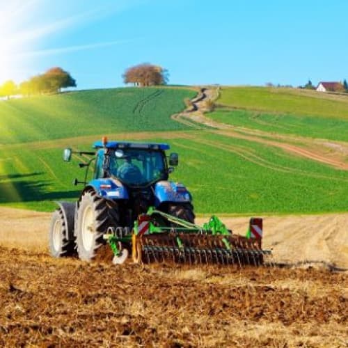 Agricoltura e allevamento 2020