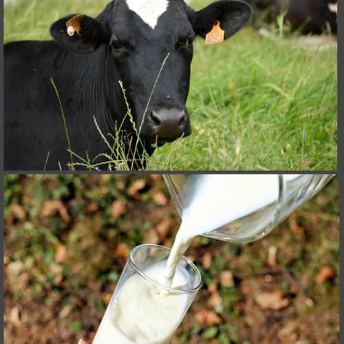 Молоко Made in Italy