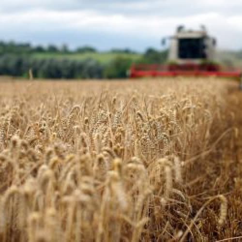 Кабінет Міністрів України затвердив міру виділення 4 мільярдів гривень на фінансування сільськогосподарського бізнесу до 2020 року
