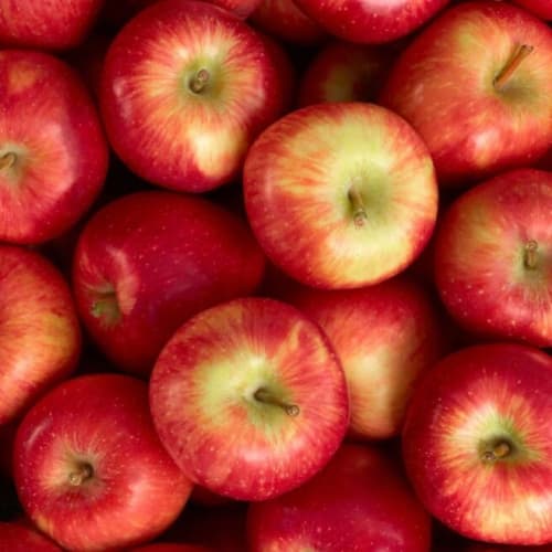 Україна – рекордсмен у сфері яблучного експорту за п’ятирічний термін