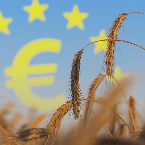 Agricoltura: aumentano le importazioni dall'UE