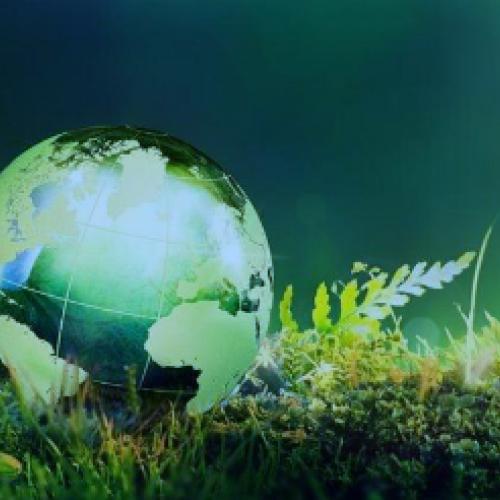Глобальний ринок зелених облігацій для пом'якшення змін клімату