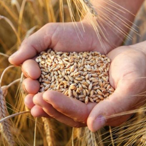 Crédit Agricole Ucraina per l'agro business