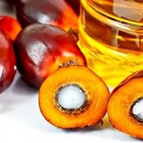 Ucraina importatrice di olio di palma