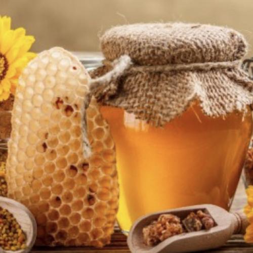 Український рекорд із експорту меду