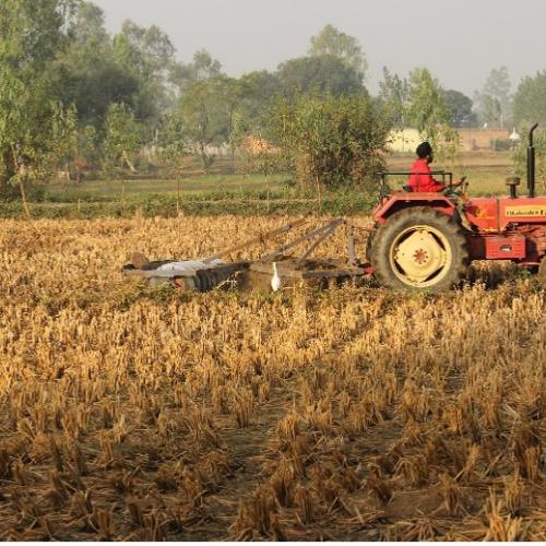 Mercato fertilizzanti in crescita