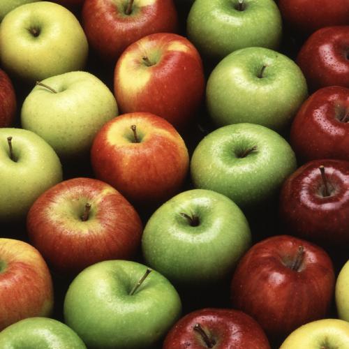 Понад 1 мільйон тонн яблук щорічно вирощується в Україні