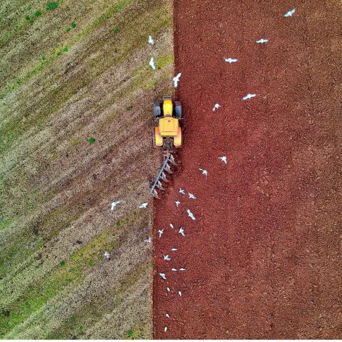 L’ultimo tassello per una riforma agraria innovativa ed efficace