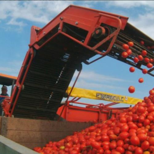 Україна отримає кредит від ЄБРР у розмірі 20 млн євро на будівництво заводу з переробки томатів