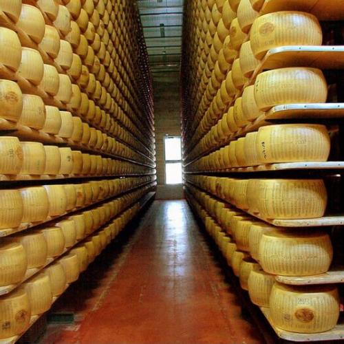 Факти про пармезан та заробітки на виробництві сиру
