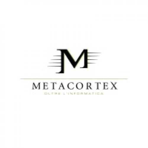 Metacortex