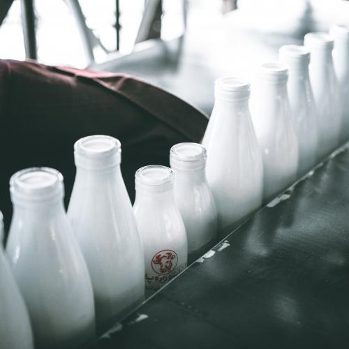 Відновлення молочного сектору