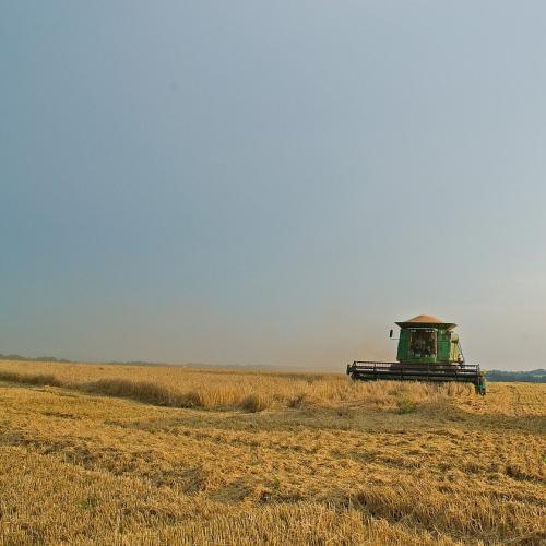 Ukrainian agriculture on the way to the EU