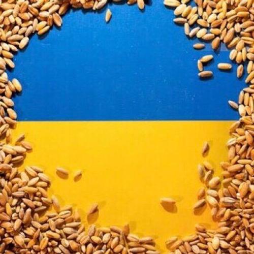 Міністри України та Угорщини обговорили заборону імпорту зерна, транзит збережеться
