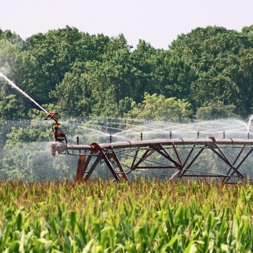 Agroindustria: previste 150 milioni di tonnellate di cereali in 10 anni