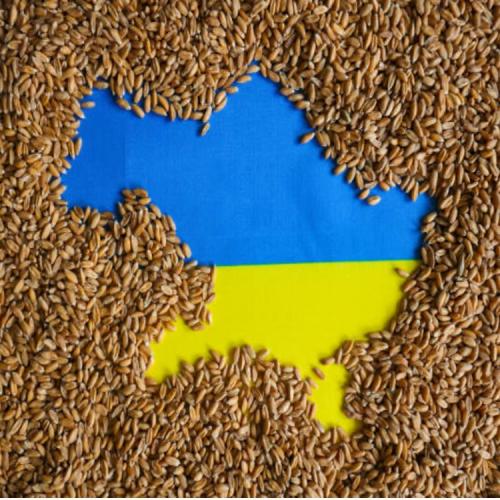 UkraineInvest: presentato studio sul potenziale d’investimento agricolo in Ucraina